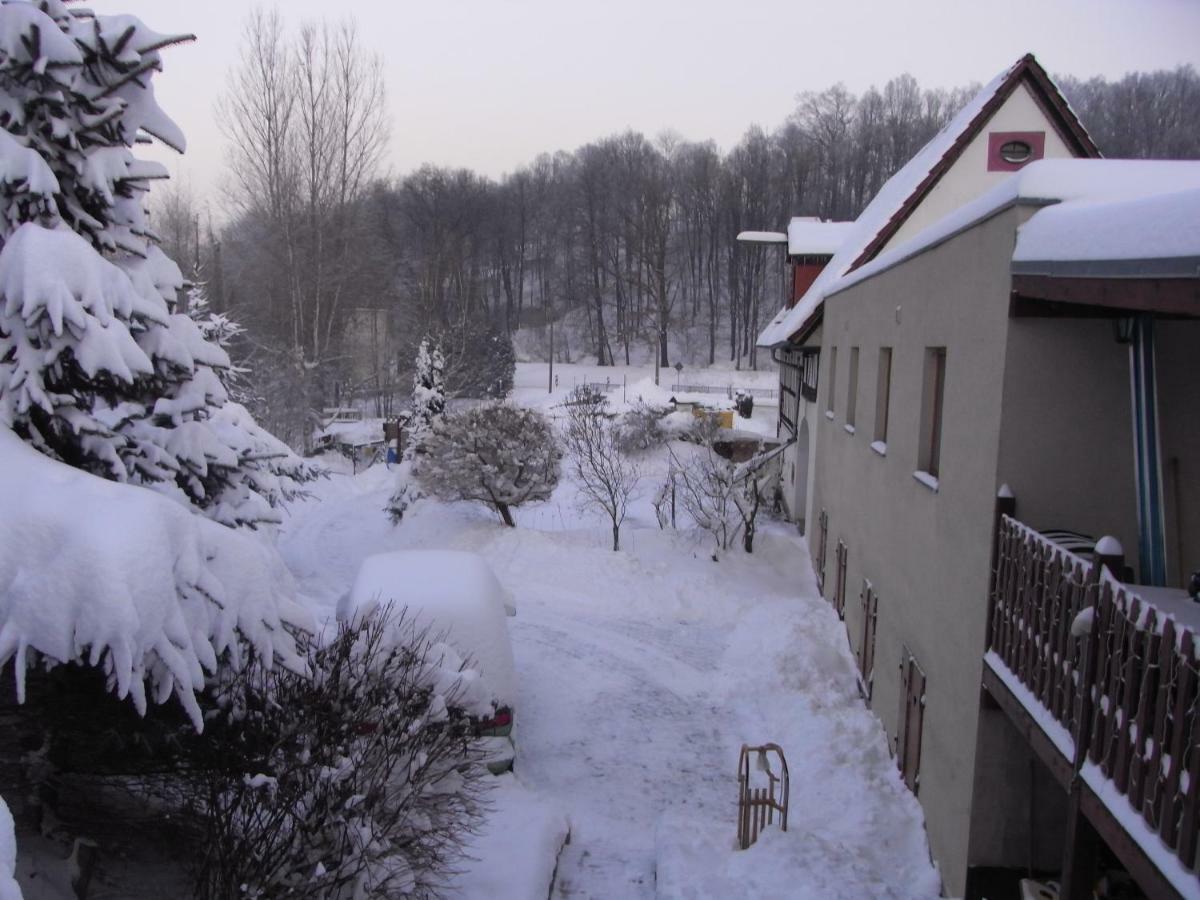 Restaurant & Pension "Bauernhof Zum Silberbergwerk" Limabach - Oberfrohna المظهر الخارجي الصورة
